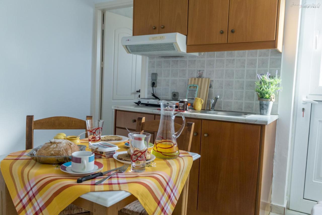 Sotirios Apartments كارباثوس المظهر الخارجي الصورة